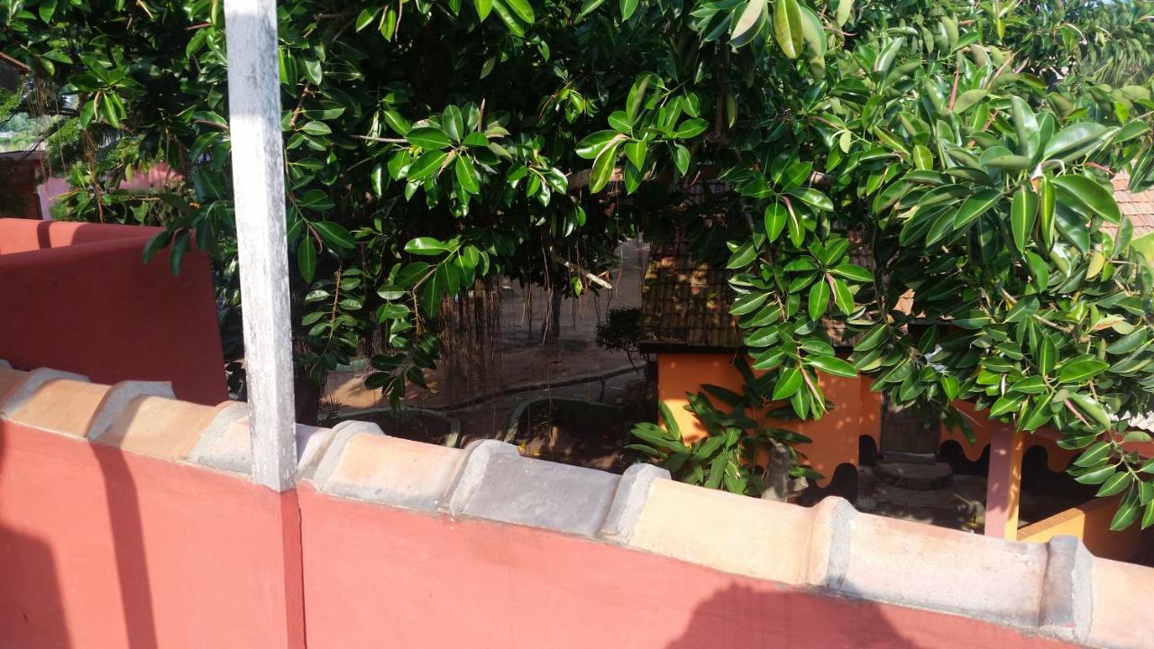 Big Milly'S Backyard Ξενοδοχείο Kokrobite Εξωτερικό φωτογραφία