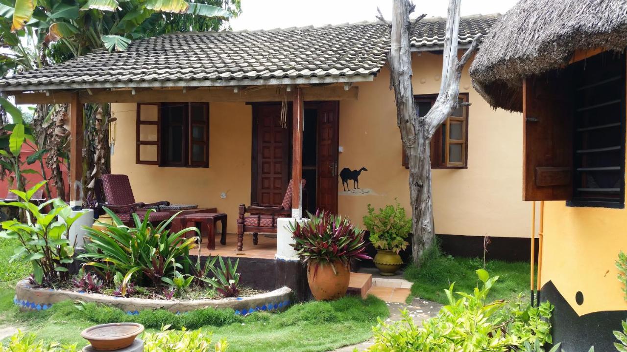 Big Milly'S Backyard Ξενοδοχείο Kokrobite Εξωτερικό φωτογραφία